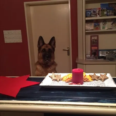 Parkhotel Hotell Dallgow-Doeberitz