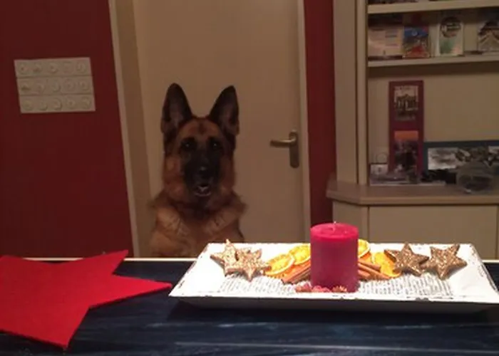 Parkhotel Hotel Dallgow-Doeberitz